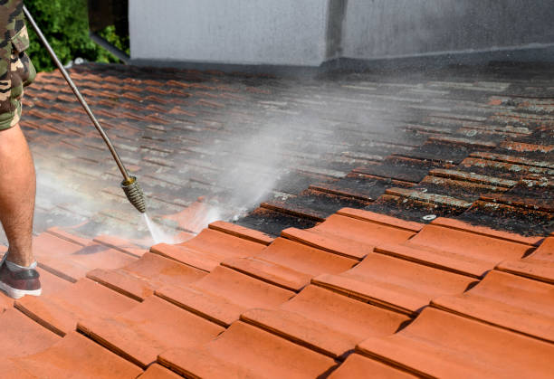 Best Pressure Washing Services Near Me  in Onalaska, WI