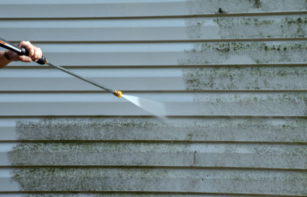 Best Deck Cleaning Services  in Onalaska, WI