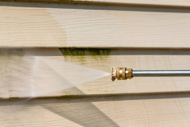 Best Pressure Washing Company Near Me  in Onalaska, WI